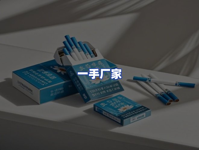 专业团队